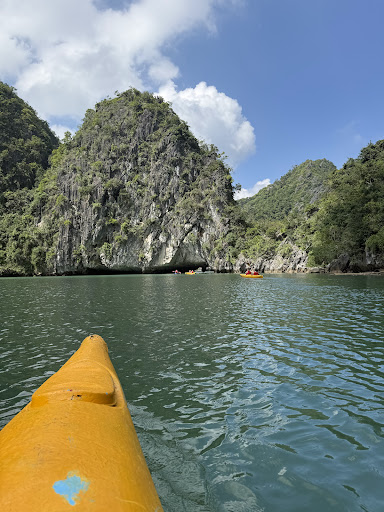 Photo from customer review