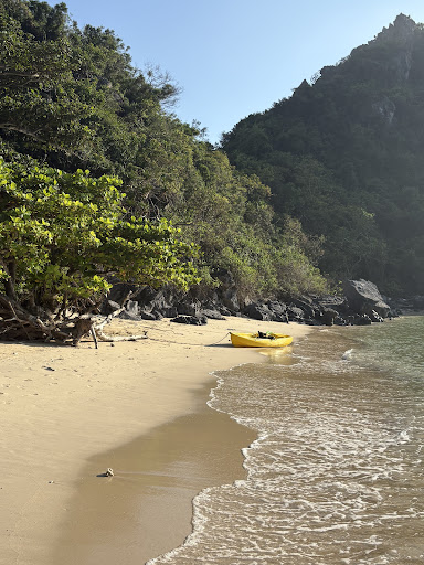 Photo from customer review