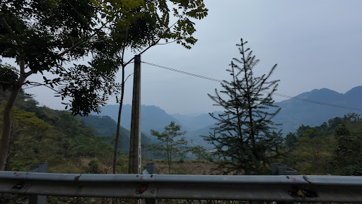 Photo from customer review