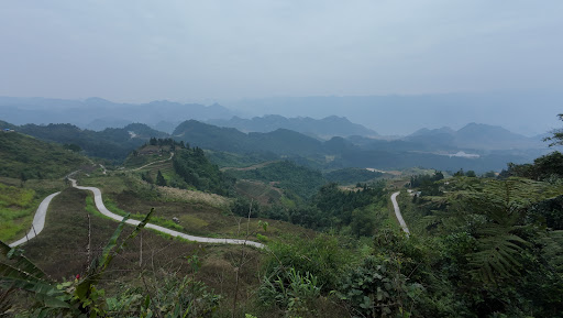 Photo from customer review