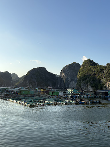 Photo from customer review