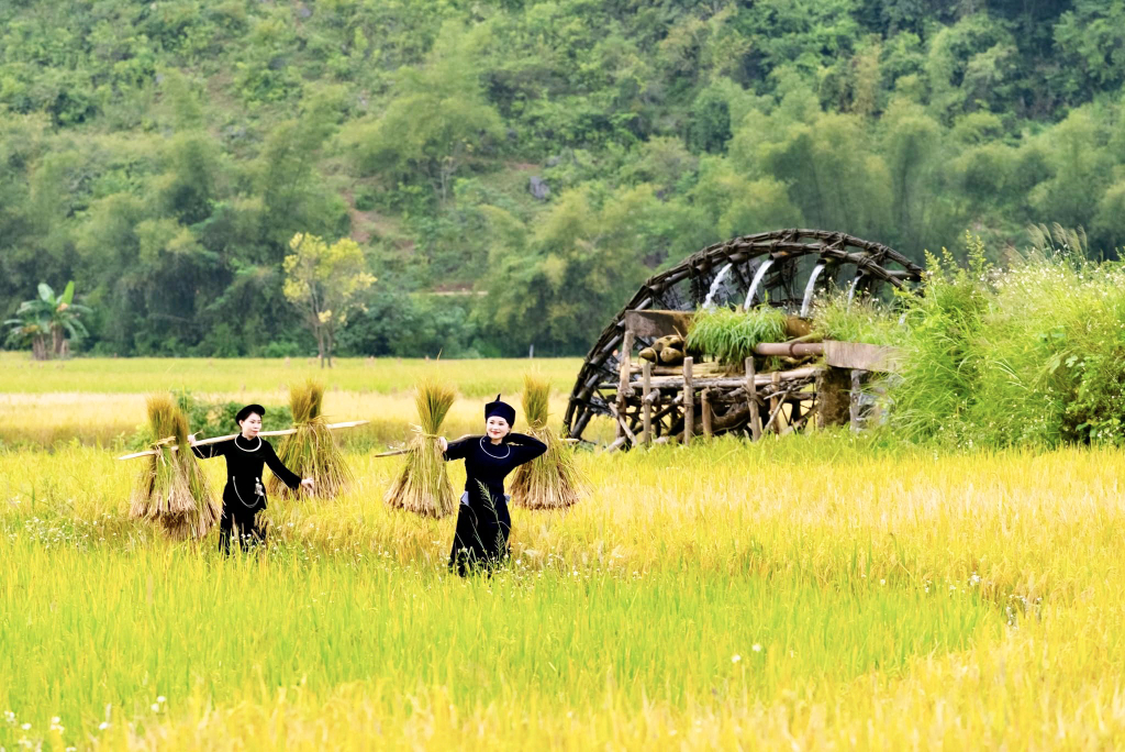 From Hanoi Ban Gioc Waterfall Local Villages 2 Nights 1 Day