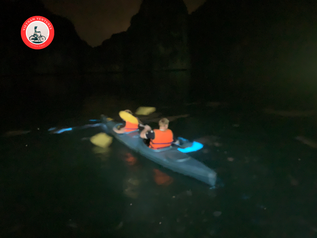 Night kayaking to see bioluminescent plankton in Lan Ha Bay