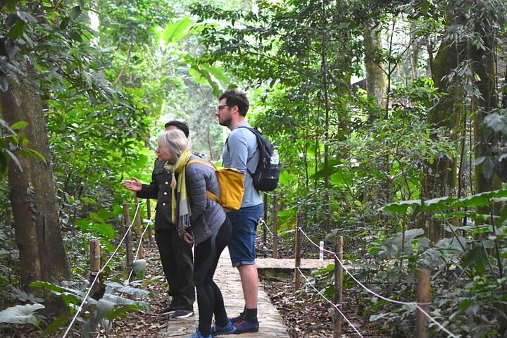 Ninh Binh Cuc Phuong Jungle Hike Wildlife Day Trip