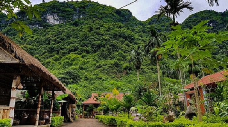 Traditional houses and green trees in Viet Hai Village on Cat Ba Island