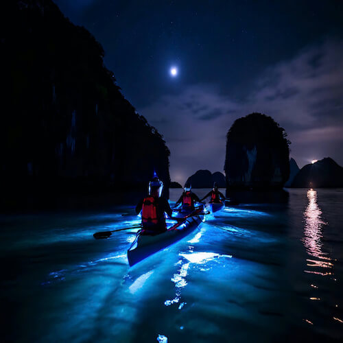 Night kayaking to see bioluminescent plankton in Lan Ha BayNight kayaking to see bioluminescent plankton in Lan Ha Bay