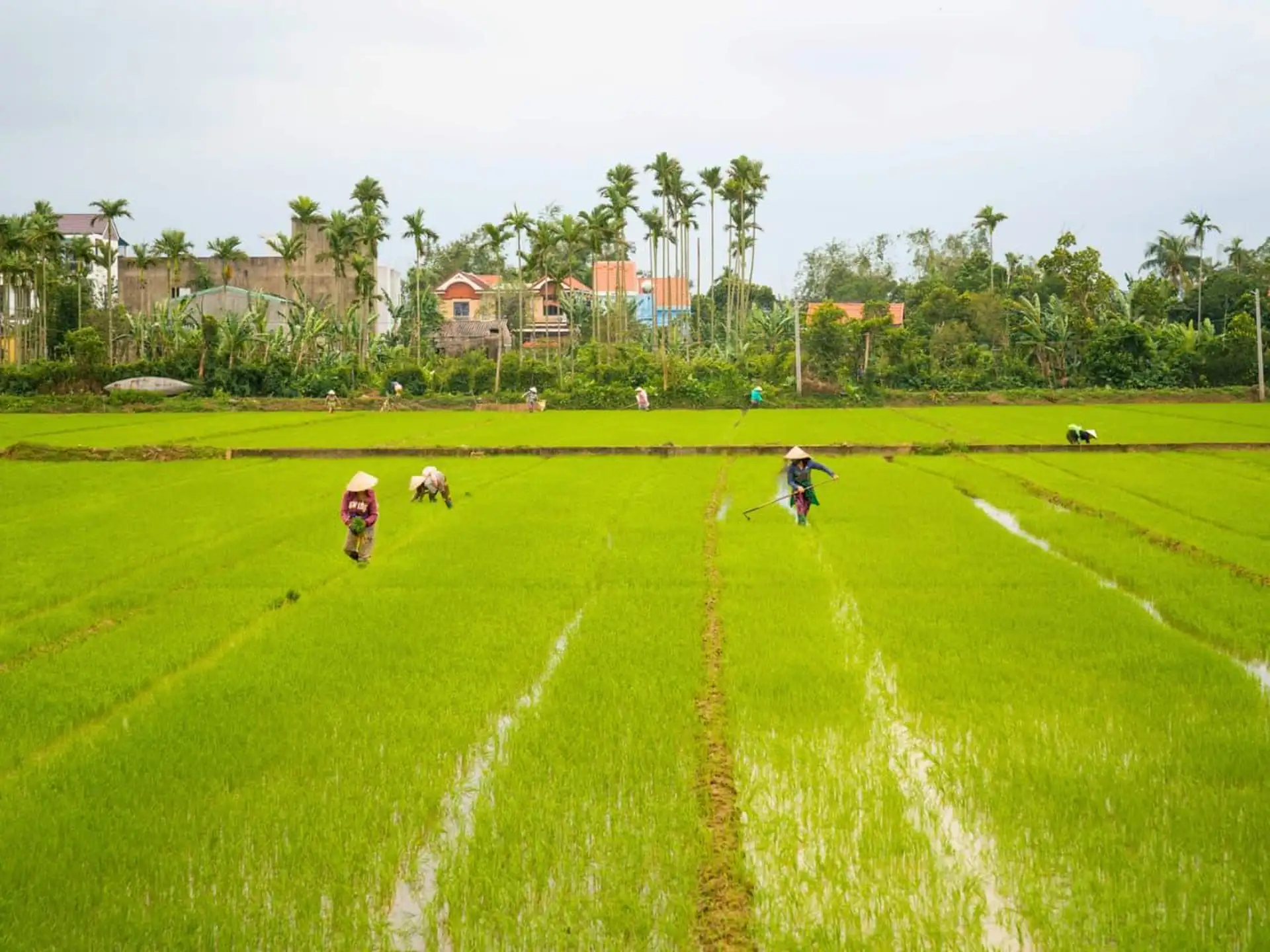 Mai Chau Tour