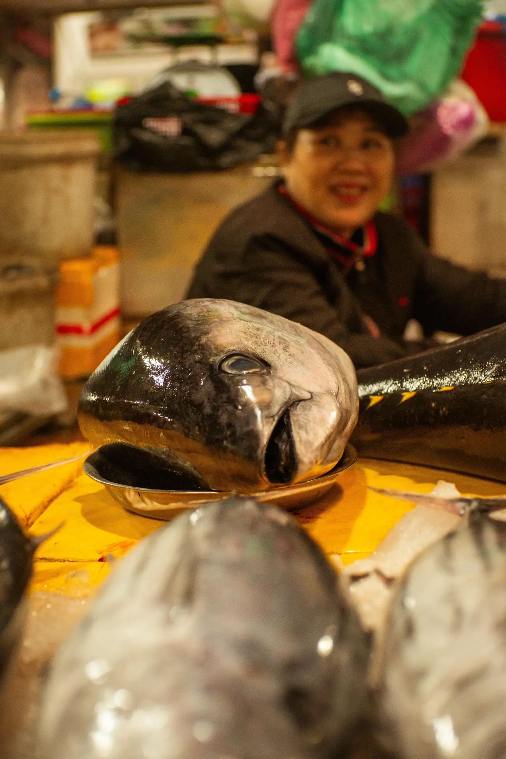 Hanoi Moc Chau Mai Chau 2 Day Tour with Meals