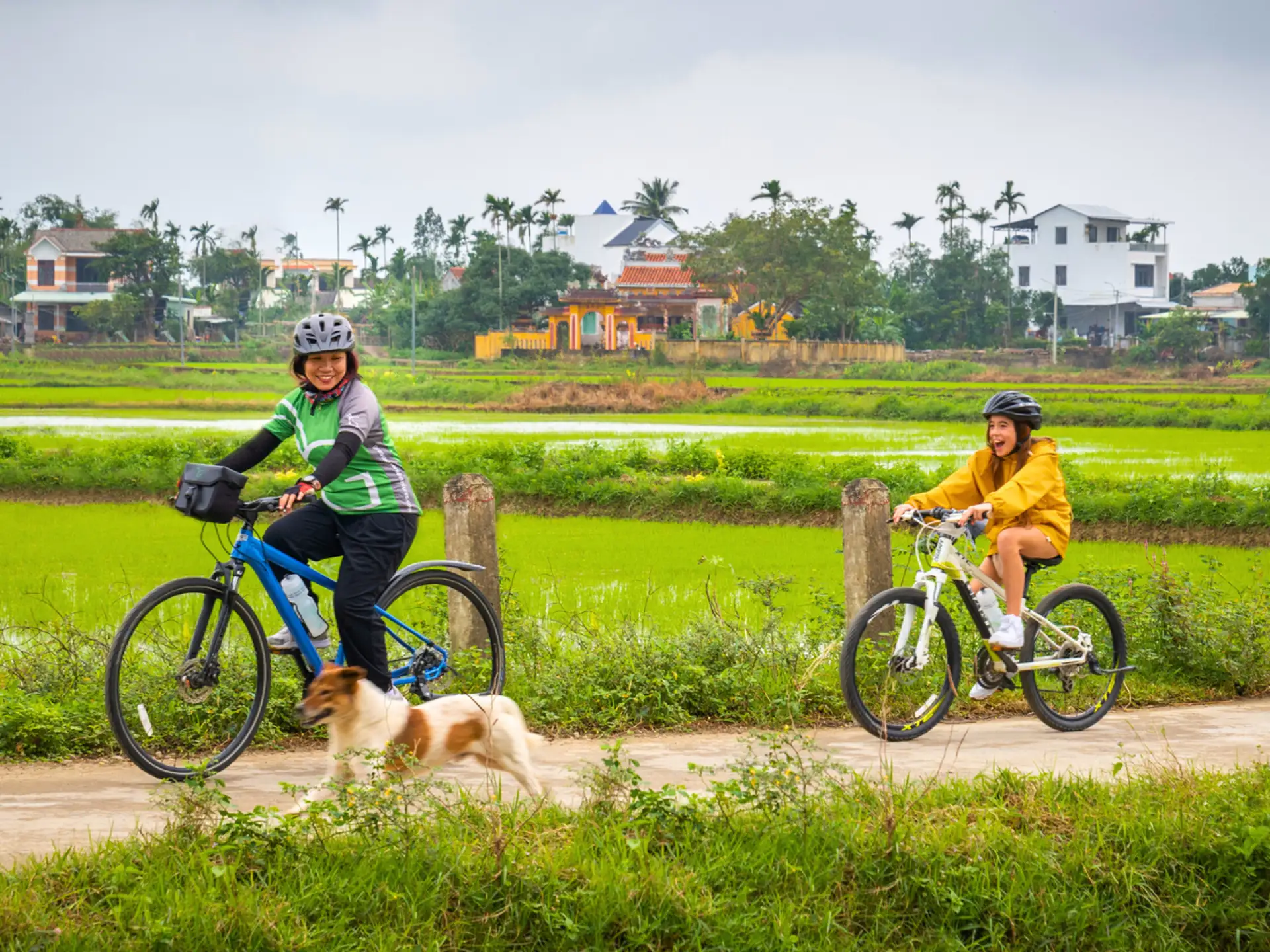 Ha Giang 4 Day Jeep Tour with Local Guide